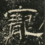 宠