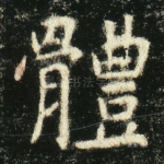 体