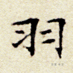 羽