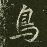 鸟