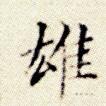 雄