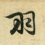 羽