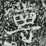 专