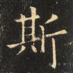 斯