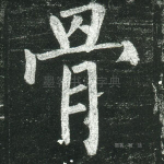 骨
