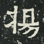 杨