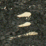 三