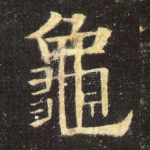 龟