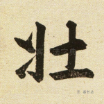 壮