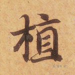 植