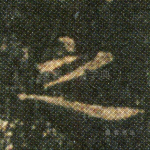 之