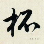 杯