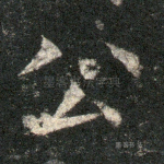 公