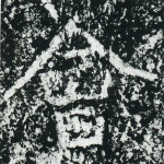 会