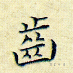 齿