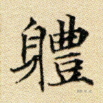 体