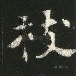 枝
