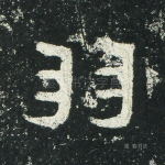 羽