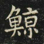 鲸