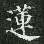 莲