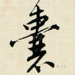 囊