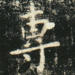专