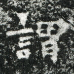 谓