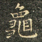 龜