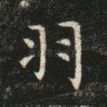 羽