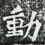 动