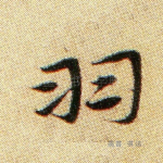 羽