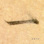 一