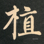 植