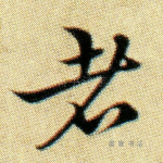者