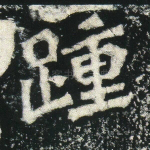 踵