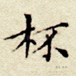 杯