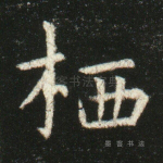 栖