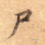 尸