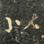 以