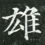 雄
