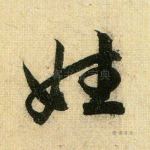 姓