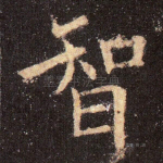 智