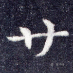廿