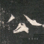 公