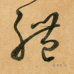 体