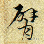 臂