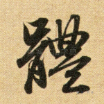 体