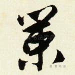 策