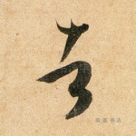 者