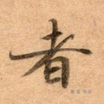 者